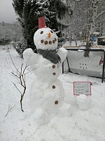 Bild: Platz 3