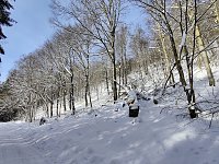 Bild: Im Brandesbachtal