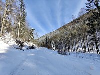 Bild: Im Brandesbachtal