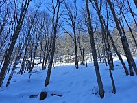 Bild: Im Brandesbachtal
