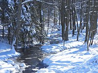Bild: Im Brandesbachtal