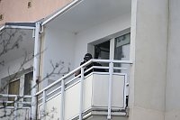 Bild: Gro&szlig;einsatz in der Bochumer Stra&szlig;e in Nordhausen