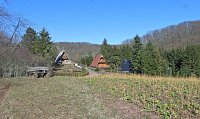 Bild: Peter Blei unterwegs am zugefrorenen Rostenteich