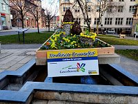 Bild: Geschm&uuml;ckte Brunnen