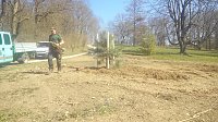 Bild: Pflanzaktion im Park Hohenrode durch die Gartenbaufirma August aus Ellrich.                                                                    