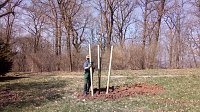 Bild: Pflanzaktion im Park Hohenrode durch die Gartenbaufirma August aus Ellrich.                                                                    