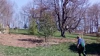Bild: Pflanzaktion im Park Hohenrode durch die Gartenbaufirma August aus Ellrich.                                                                    
