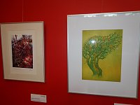 Bild: Die Kunst der Frauen im Meyenburgmuseum