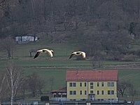 Bild: Peter Blei unterwegs am Stausee Kelbra