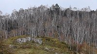 Bild: Unterwegs an der Numburg