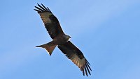 Bild: Ausflug in die Windl&uuml;cke