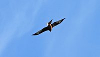 Bild: Ausflug in die Windl&uuml;cke