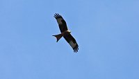 Bild: Ausflug in die Windl&uuml;cke