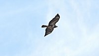 Bild: Ausflug in die Windl&uuml;cke