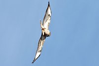 Bild: Ausflug in die Windl&uuml;cke