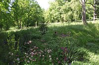 Bild: Erholsam und entspannend ist zu jeder Jahreszeit ein Besuch im Park Hohenrode.