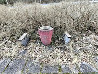 Bild: Ferienpark Almsfeld