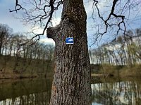 Bild: Peter Blei unterwegs in Steinsee