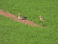 Bild: Peter Blei unterwegs in Steinsee