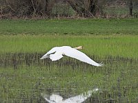 Bild: Peter Blei unterwegs in Steinsee