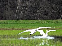 Bild: Peter Blei unterwegs in Steinsee