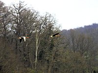 Bild: Peter Blei unterwegs in Steinsee