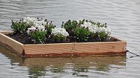 Bild: Schwimmende G&auml;rten 