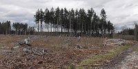 Bild: Unterwegs im Harz