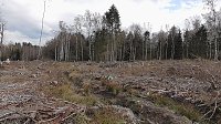 Bild: Unterwegs im Harz