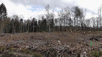 Bild: Unterwegs im Harz