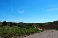 Bild: Unterwegs am Stausee Kelbra