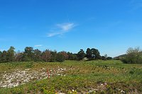 Bild: Unterwegs am Stausee Kelbra