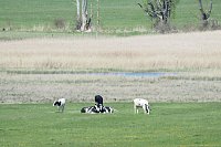 Bild: Unterwegs am Stausee Kelbra