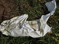 Bild: Borbachtungen zur Biodiversit&auml;t