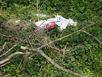 Bild: Borbachtungen zur Biodiversit&auml;t