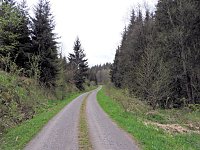 Bild: Vatertagswanderung