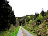 Bild: Vatertagswanderung