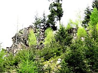 Bild: Vatertagswanderung