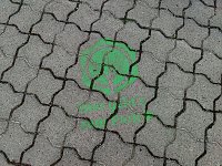 Bild: Impr4esionen aus Bendeleben