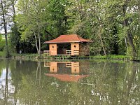 Bild: Impr4esionen aus Bendeleben