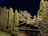 Bild: Nachts in Nordhausen