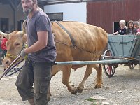 Bild: Ferien auf dem Erlebnisbauernhof Kleinberndten