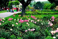 Bild: BUGA Erfurt