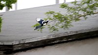 Bild: Wer ist hier der J&auml;ger?