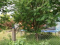 Bild: Weitere Bilder vom Brand
