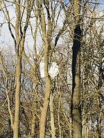 Bild: Altlasten im Wald bei Leimbach
