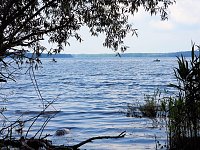 Bild: Ausflug zum Muldestausee