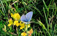 Bild: Peter Blei und die Wunder der Natur