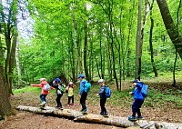 Bild: F&uuml;r die Kleinen der Kinderwelt am Frauenberg geht es endlich wieder in den Wald
