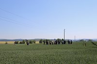 Bild: "Feldtag" bei Hochstedt